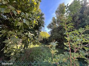 Location terrain pour potager