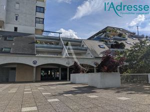 Appartement 1 pièce