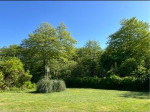Terrain de 1100 m2  possibilité de division  bordé d’une forêt et d’ un ruisseau
