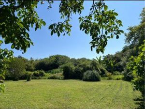 Terrain de 100 m2  division possible  forêt en première ligne