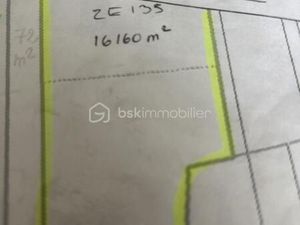 Terrain 16 160 m² Veuves