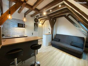 Authentique Studio Tours centre -Tanneurs-Commerce