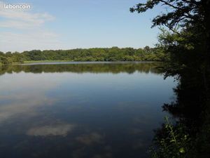Etang à louer en Brenne pour chasse et pêche