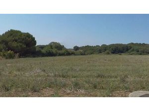 Vente terrain 614 m² Meursac (17120)