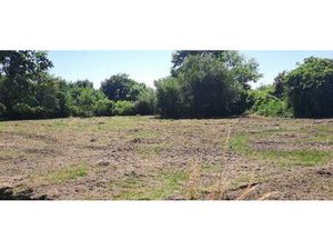 Terrain à bâtir à Brach (33480)