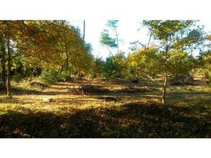 Terrain à bâtir à Audenge (33980)