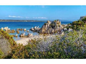 Appartement Front De Mer