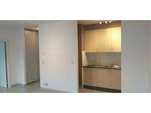 Appartement 1 chambre avec terrasse et cave.