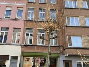 Surface commerciale à louer – Quartier Européen