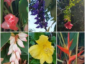 Recherche Appartement T2 T3