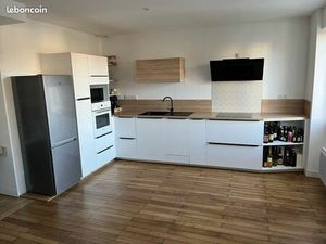 T3 62m2 centre ville refait à neuf + garage & cave