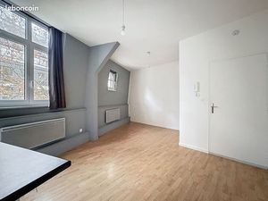 Studio dernier étage  centre ville Lille (Rue Hôpital Militaire)