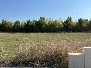 Vente terrain 590 m² à Puygouzon (81990)  67 500 €