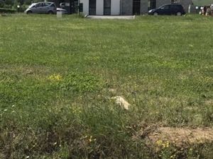 Terrain 733 m² Mouilleron En Pareds