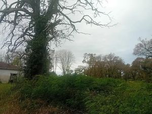 Vente terrain 1500 m² à Mios (33380)  320 000 €