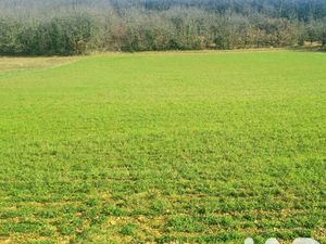 Vente Terrain à bâtir 9 718 m²