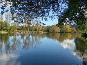 Recherche location logement