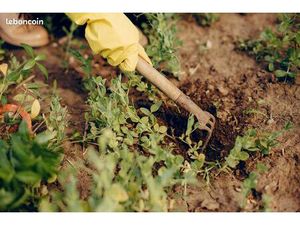 Location jardin potager