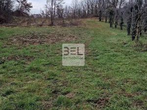 Terrain 4625 m² Saint-Paulet-de-Caisson