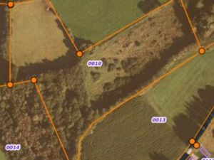 Parcelle agricole avec petit bois et source