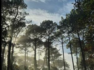 Cherche terrain zone agricole Seignosse