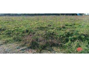 Terrain à bâtir à Gauriaguet (33240)