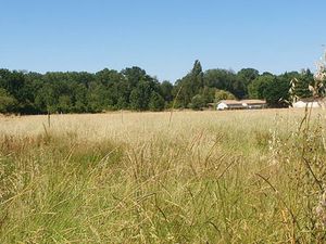 Terrain à bâtir à Saint-Christoly-de-Blaye (33920)