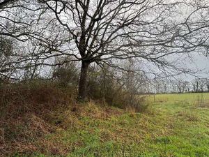 Vente Bois  forêt et étang à Gorges (44190) : à vendre / Gorges