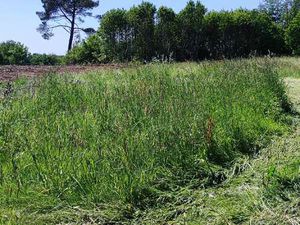 Vente Terrain à Guidel (56520) : à vendre / Guidel