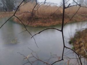 Grande salle extérieure dans parc château au calme