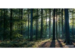 Cherche terrain agricole ou forêt pour loisir