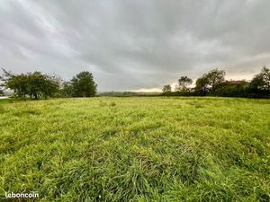 Terrain 1 331 m² Polliat