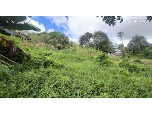 Terrains à bâtir – Lotissement – Ducos – à partir de 500 m²