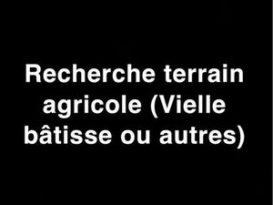 Recherche terrain agricole Porto vecchio et alentours