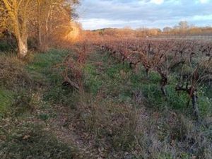 Terrain de loisirs avec puits fonctionnel