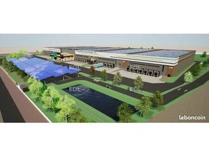 Local logistique 31 245 m²