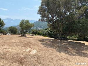 Beau terrain - Calvi