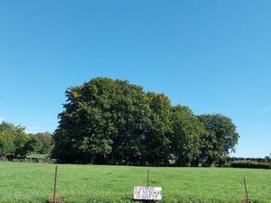 Terrain 1215 m² harcy