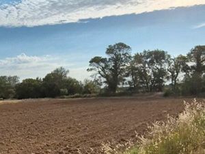 A vendre terrain agricole pour jardinage avec eau
