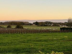 Terrain 1 070 m² Reignac