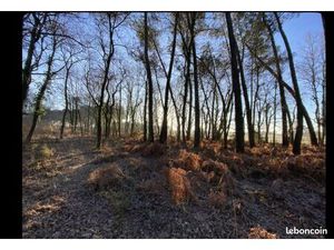 Recherche terrain de loisir