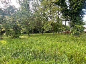 Forêt 600 m² Cadaujac