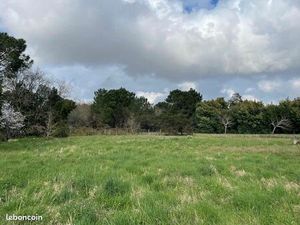 Forêt 1 300 m² Grayan Et L Hopital