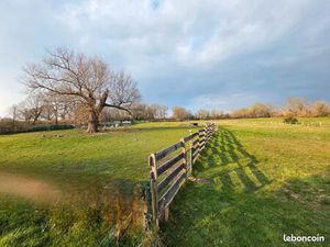 Terrain constructible