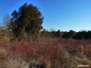 Terrain 300 m² Miramas