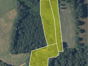 Terrain boisé avec peupleraie 12158m2