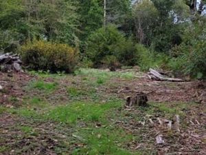 Terrain 1 500 m² Chancelade