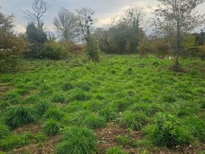 Terrain 1 200 m² Noaillan