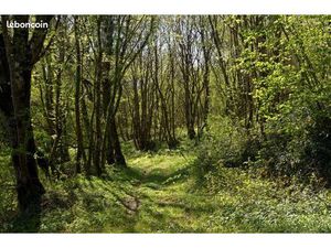 Recherche Forêt sur Colroy la Grande