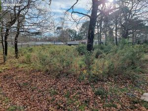 Terrain a bâtir 1200m2